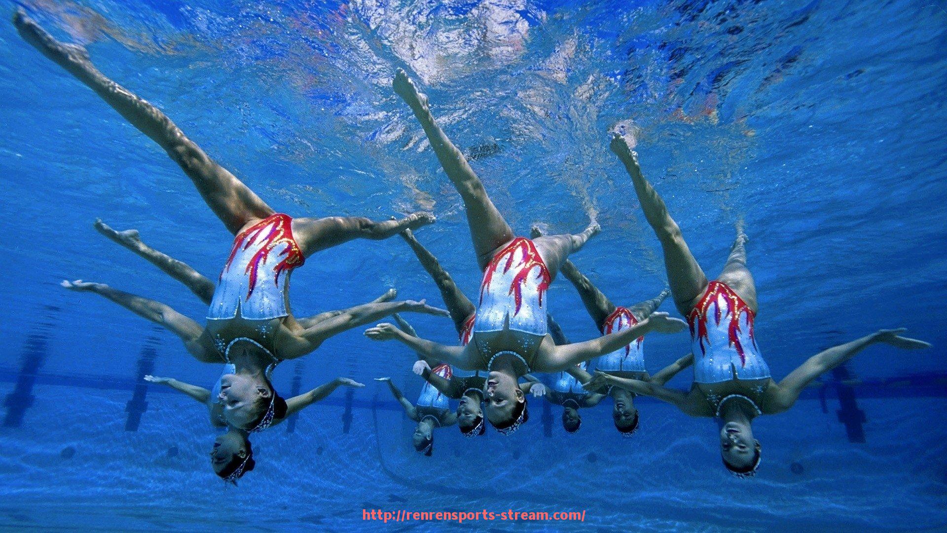 人人体育直播-世俱杯球员训练服功能层级划分与性能优化分析